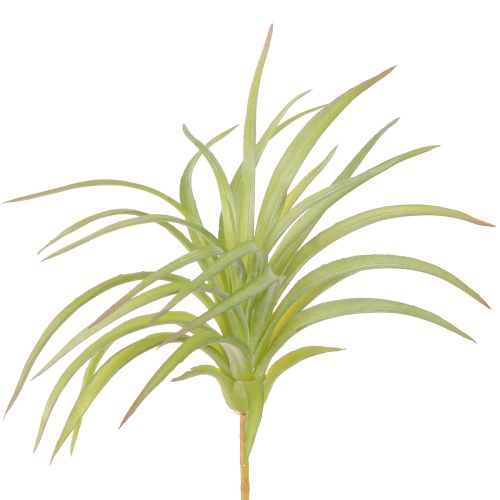 Tillandsia zöld mesterséges növények bottal Ø17cm 3db