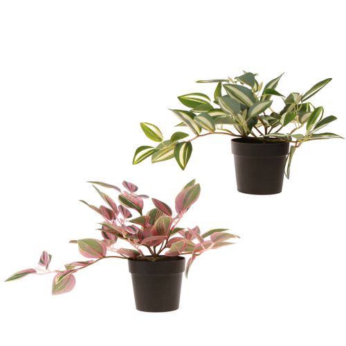 tételeket Tradescantia Mesterséges zöld növény cserépben H19,5cm 2db