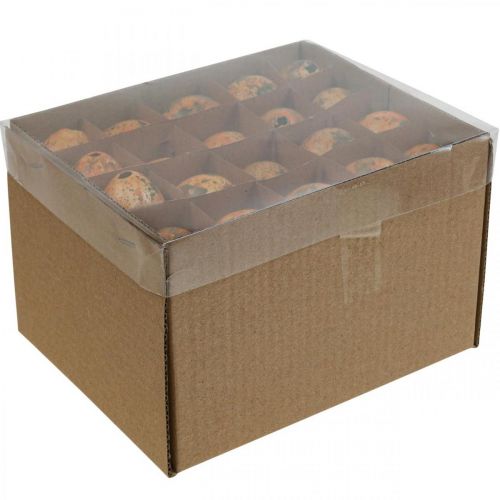 tételeket Fürjtojás dekoráció fújt tojás narancssárga sárgabarack 3cm 50 db