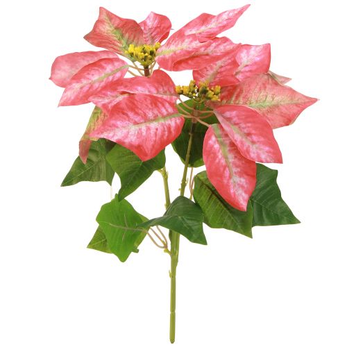tételeket Artificial Poinsettia Red Pink L35cm 6db 2 csokor