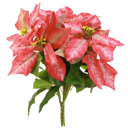 tételeket Artificial Poinsettia Red Pink L35cm 6db 2 csokor
