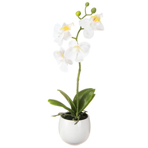 tételeket Fehér orchidea művirág cserépben Phalaenopsis M33cm