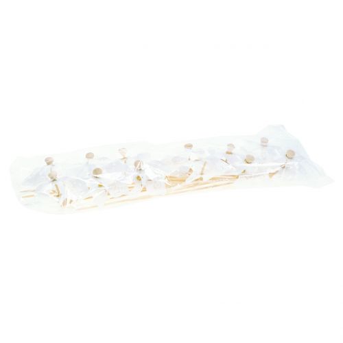 Floristik24 Szélmalom Mini White Ø9cm 12db