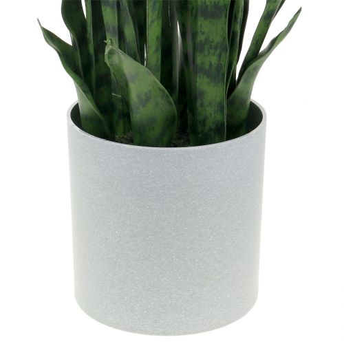 Floristik24 Sansevieria mesterséges edényben H90cm