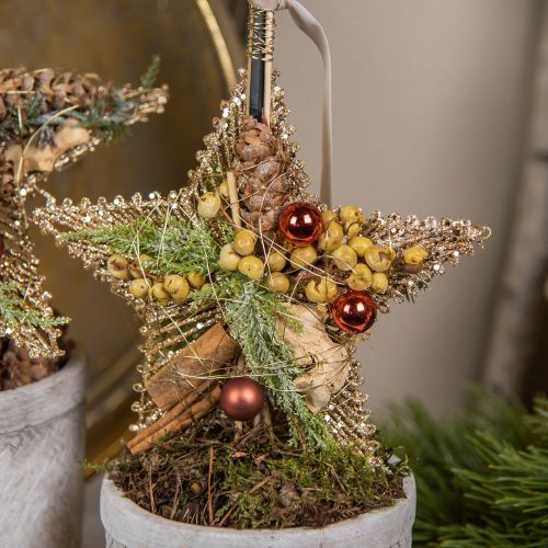 tételeket Fahéj díszítéshez 5cm 1kg