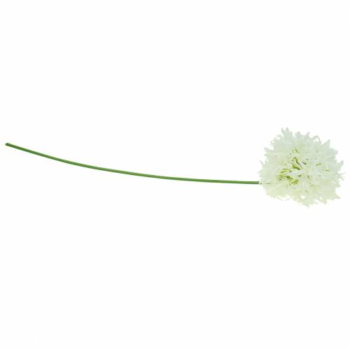 tételeket Díszhagyma Allium műfehér Ø12cm H62cm