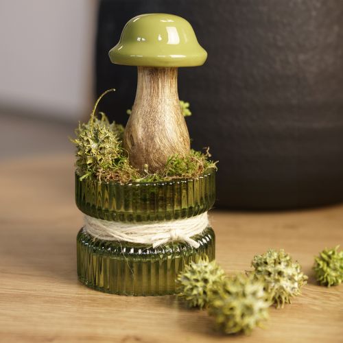 tételeket Sweetgum toboz zöld fagyasztott 250g