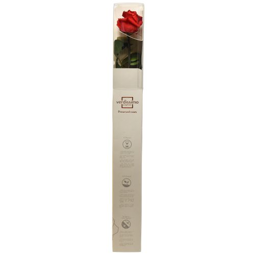 tételeket Amorosa Red Infinity Rose tartósított levelekkel 54cm