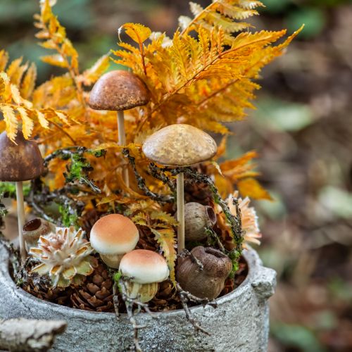 tételeket Bellgum harang gyümölcs kapszula gyümölcs natúr dekoráció barna 500g