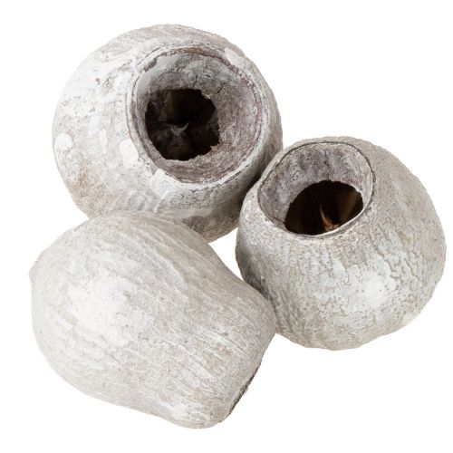 tételeket Bellgums fehérre meszelt 2cm - 5cm 500g