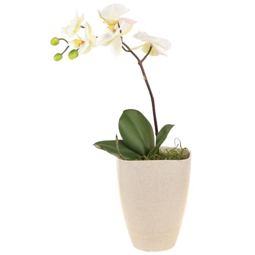 Orchidea cserepes virágcserép műanyag bézs foltos 13,5x13cm H16,5cm 4db