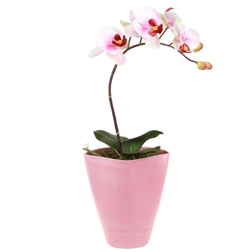 Floristik24 Virágcserép műanyag váza orchidea cserép rózsaszín H16,5cm 4db