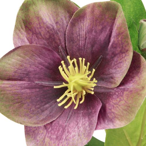 tételeket Karácsonyi Rózsa Műhórózsa Lila Virág L35cm 6 db