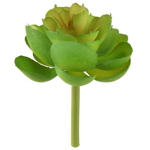 Echeveria Artificial Succulents Green Ø7cm 6db