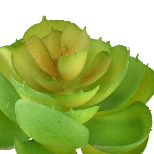 tételeket Echeveria Artificial Succulents Green Ø7cm 6db