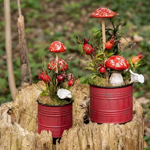 Floristik24 Varangygomba pálcán, piros, 5,5 cm, 6 db-os dekoratív őszi gomba a kertbe és otthonra