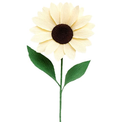 tételeket Virágkötő krepp papír virágkötő krepp pezsgőszínű 50×250cm 5 darab