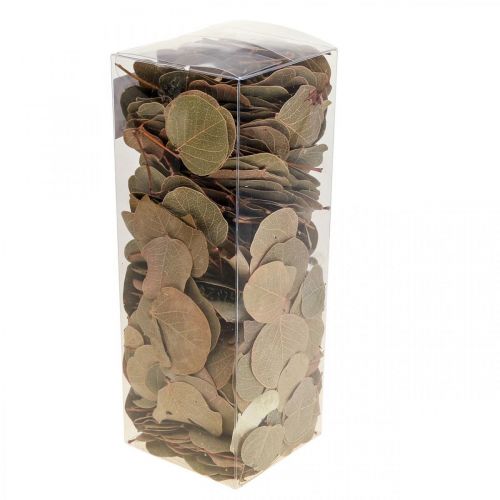 tételeket Szárított levelek dekoráció Moneta száraz virágkötő természet 200g