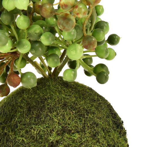 tételeket Zöld növény mesterséges gyöngysor mohagolyóban 38cm