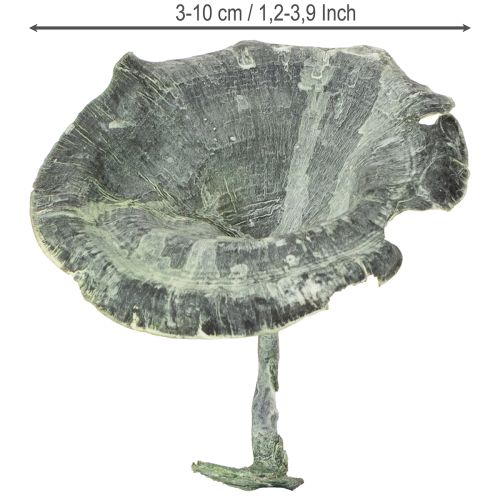 tételeket Kalix Gomba Zöld, Fehérre Melegített 100 db