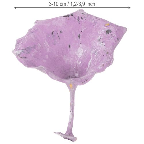 tételeket Kalix Gomba Lila, Fehérre Melegített 100 db