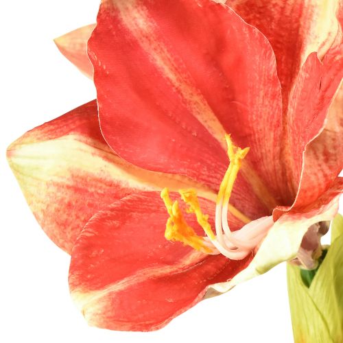 tételeket Artificial Amaryllis Pink and Cream – Nagy szárú virág 76cm