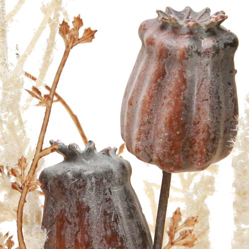 tételeket Mákhüvelyek, dekoratív szárított virágok, műpáfrány, krémszínű, 63 cm – Elegáns dekoráció otthonra és esküvőre