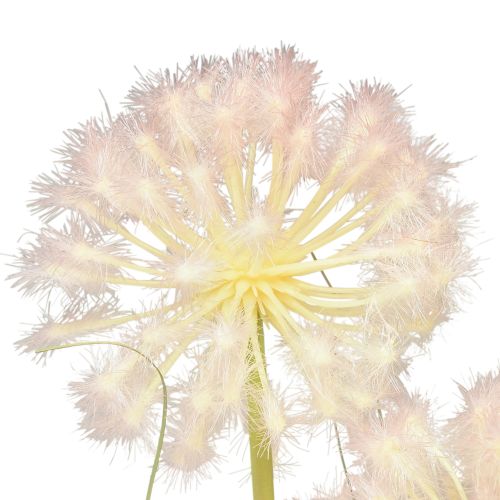 tételeket Művirág dekoratív gömbvirág allium díszhagyma műhagyma 78cm