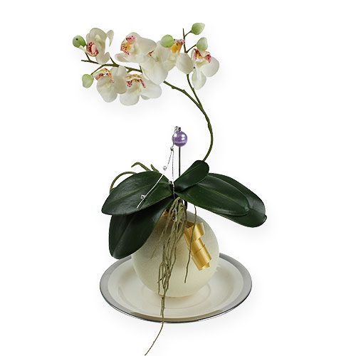 Floristik24 Virágos habgolyók krém 9cm 4db