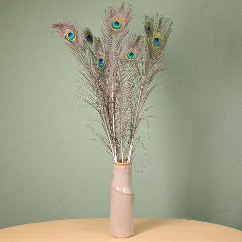 tételeket Pávatollak dekorációja, valódi madártollak, hosszúak, 75-85 cm, 8 darab