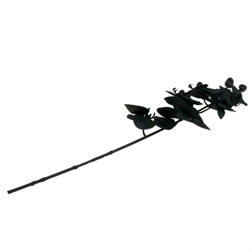 tételeket Orchidea díszítő fekete 54cm