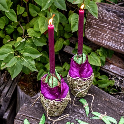 tételeket Kúpos gyertyák egyszínű bordó 21×240mm 12 db