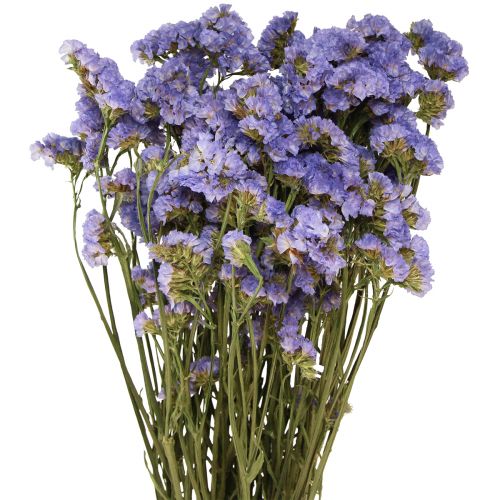 Sea Lilac Purple Statice Limonium sinuatum szárított virágok 60cm 50g