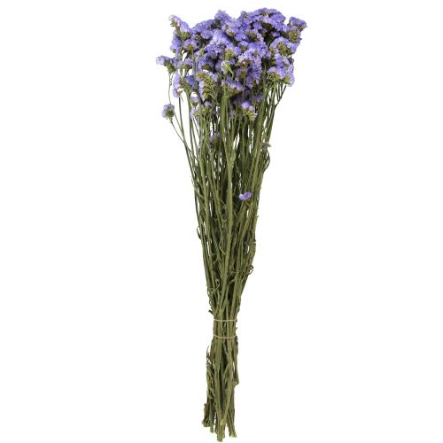Floristik24 Sea Lilac Purple Statice Limonium sinuatum szárított virágok 60cm 50g