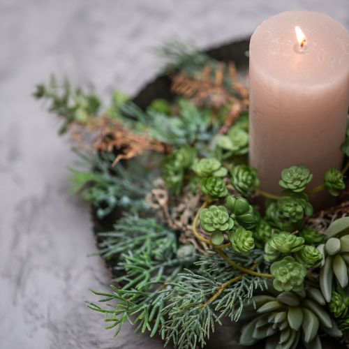 tételeket Pozsgás Echeveria 17cm Szürke 3 db