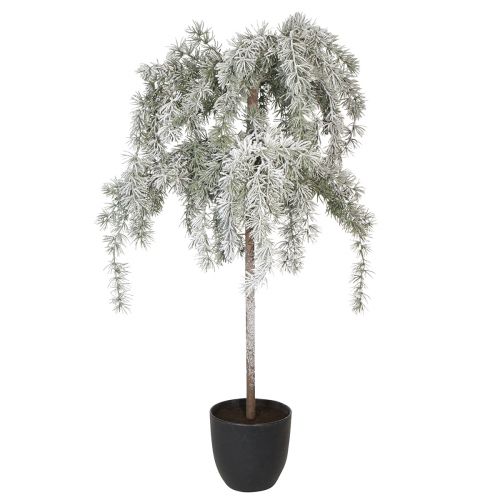 Mini cédrus karácsonyfa műtél H95cm