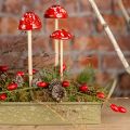Floristik24 Varangygombóc pálcán, piros, 4cm, 6db-os díszkerti gomba készlet őszi dekorációhoz