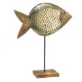 Floristik24 Fa fém dekoratív hal tengeri sárgaréz 33x11,5x37cm