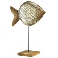 Floristik24 Fa fém dekoratív hal tengeri sárgaréz 33x11,5x37cm