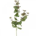 Floristik24 Mesterséges eukaliptusz ág deco zöld növény zöld, rózsaszín 75cm