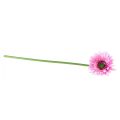 Floristik24 Művirágok Gerbera Kert Művirágok Pink 47cm