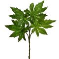 Floristik24 Papaya levelek mesterséges deco ág műnövény zöld 40cm