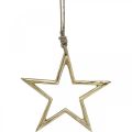 Floristik24 Karácsonyi dekoráció csillag, adventi dekoráció, csillag medál Golden B15,5cm