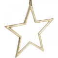 Floristik24 Karácsonyi dekoráció csillag, Adventi dekoráció, csillag medál Arany B24,5cm