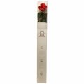 Floristik24 Amorosa Red Infinity Rose tartósított levelekkel 54cm