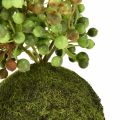 Floristik24 Zöld növény mesterséges gyöngysor mohagolyóban 38cm