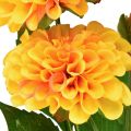 Floristik24 Művirágok dekoratív dáliák műsárga narancs 50cm