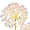 Floristik24 Művirág dekoratív gömbvirág allium díszhagyma műhagyma 78cm
